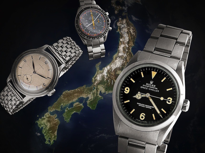 ted baker watches women